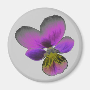 Imán Pansy Wild Dark Purple Magnet