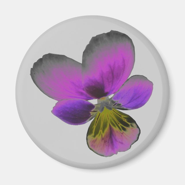 Imán Pansy Wild Dark Purple Magnet (Frente)