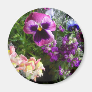 Imán Pansy y sus amigos Magnet