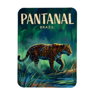 Imán Pantanal Brasil