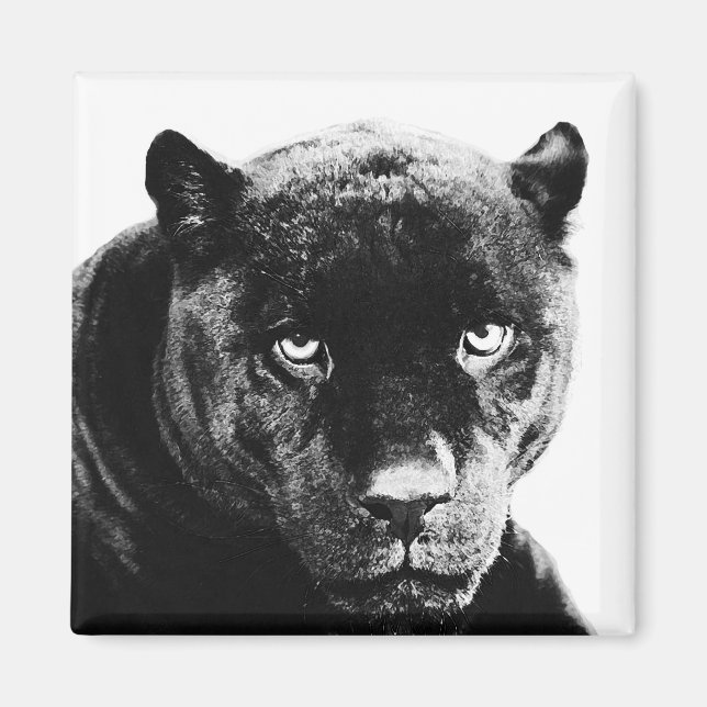 Imán Pantera negra Jaguar (Frente)