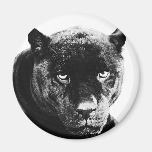 Imán Pantera negra Jaguar