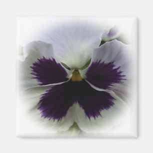 Imán Pañuelo morado y blanco