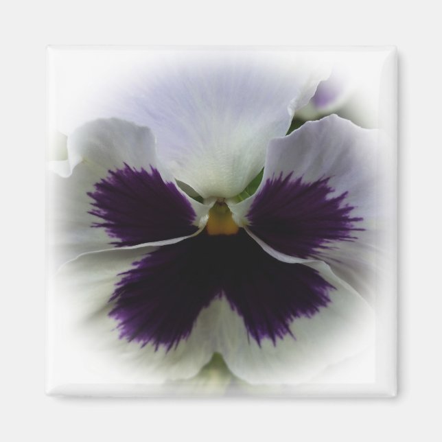 Imán Pañuelo morado y blanco (Frente)
