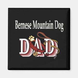 Imán papá Magnet, perro de montaña de bernesa