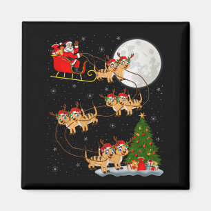 Imán Papá Noel Trineo Volador Divertido Mágico Navidad