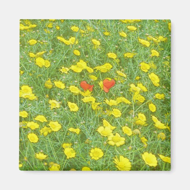 Imán Papas acuáticas (Frente)