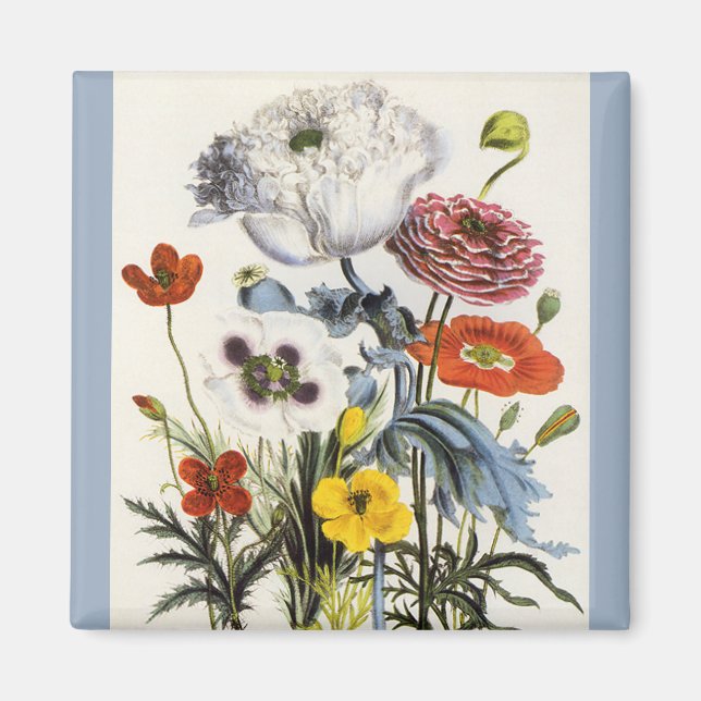 Imán Papas antiguas en el jardín, flores victorianas (Frente)