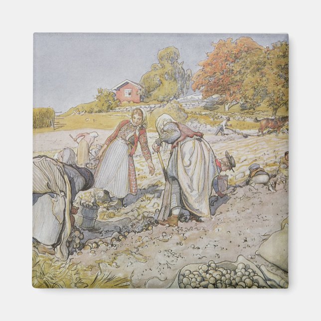 Imán Papas para cavar, 1905 (Frente)