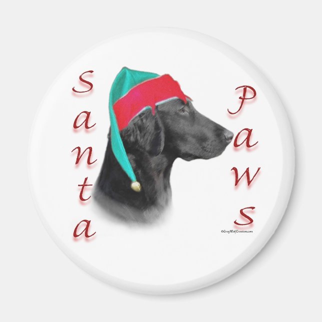 Imán Papas Santa de recuperación planas recubiertas (Frente)