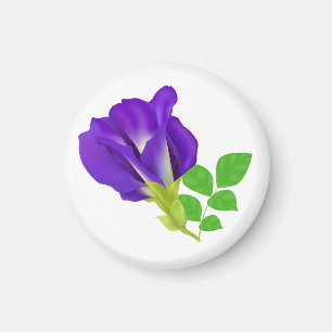 Imán Papel de Regalo Floral Floración Púrpura
