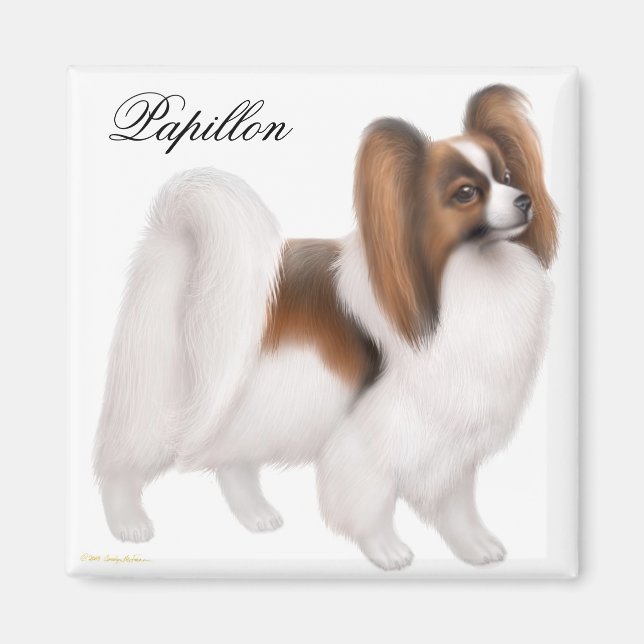 Imán Papillon Dog Magnet (Frente)