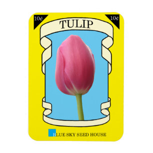 Imán Paquete de la semilla del tulipán