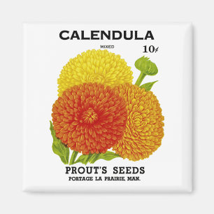 Imán Paquete de la semilla del vintage del Calendula