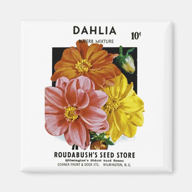 Imán Paquete de semillas de Dahlia Vintage (Frente)