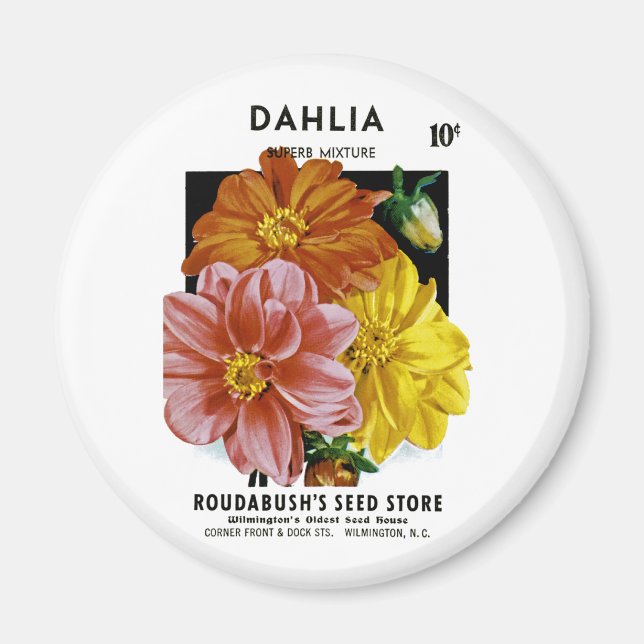 Imán Paquete de semillas de Dahlia Vintage (Frente)