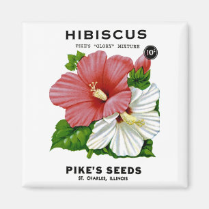 Imán Paquete de Semillas Vintage de Hibiscus