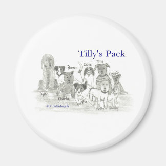 Imán Paquete de Tilly