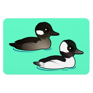 Imán Par Bufflehead