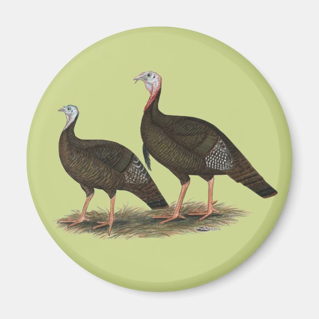 Imán Par salvaje del este de los pavos (Frente)