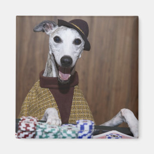 Imán Para arriba vestido perro de Whippet en la tabla
