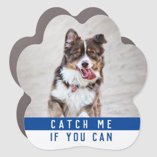 Imán Para Coche Mascota de Cute Modern Fun Dog Paw
