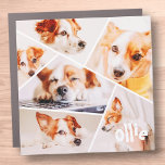 Imán Para Coche Mascotas Personalizado simple moderno 6 imágenes C<br><div class="desc">Este diseño sencillo y moderno se compone de tipografía sans serif. Añadir foto de mascota personalizado.</div>