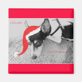 Imán para Navidades, Rat Terrior