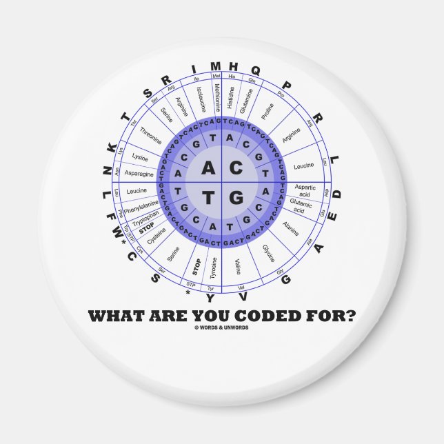 Imán ¿Para Qué Estás Codificado? (Rueda Amino Ácida) (Frente)