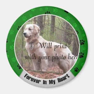 Imán Para siempre en mi memoria de perro o gato