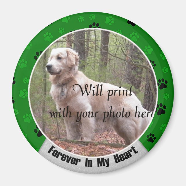 Imán Para siempre en mi memoria de perro o gato (Frente)