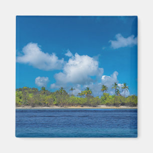 Imán Paraíso de Isla Tropical con Palmeras
