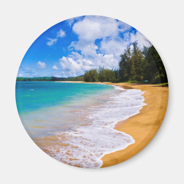 Imán Paraíso de playa tropical, Hawái (Frente)