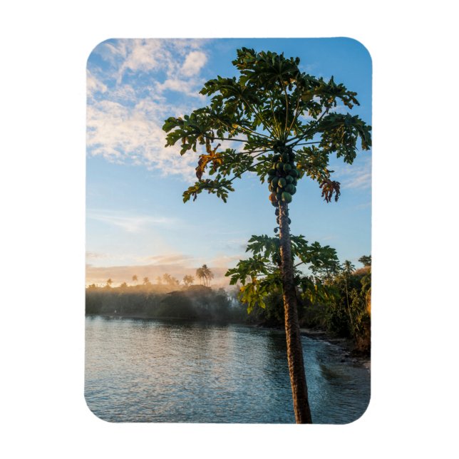 Imán Paraíso Tropical al Atardecer, Fiji (Vertical)
