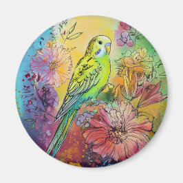 Imán Parakeet