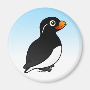 Imán Parakeet Auklet