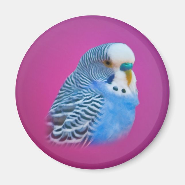Imán Parakeet Magnet (Frente)