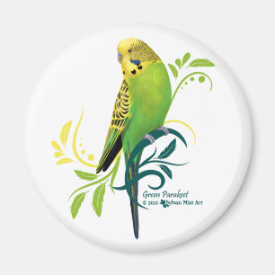 Imán Parakeet verde