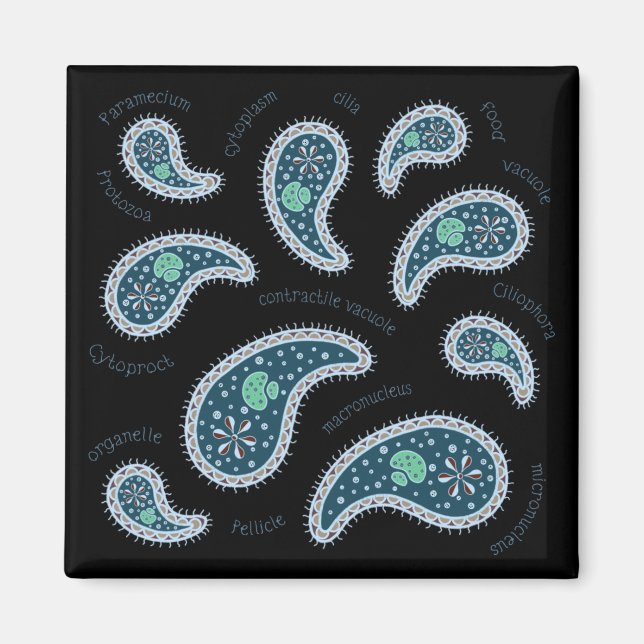 Imán Paramecia Paisley Biología Microbe Oscuro (Frente)