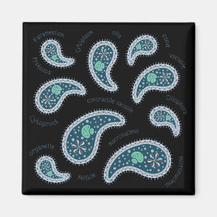 Imán Paramecia Paisley Biología: microbio oscuro