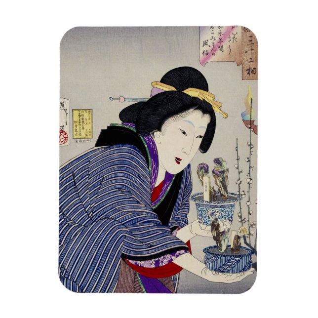 Imán Parece que quiere cambiar: la apariencia (Vertical)