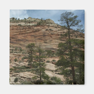 Imán Paredes de rock en el Parque Nacional de Zion