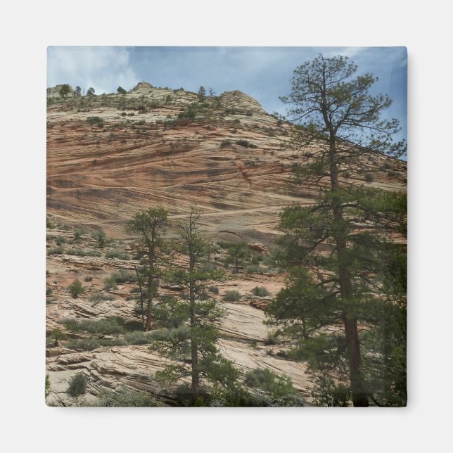 Imán Paredes de rock en el Parque Nacional de Zion (Frente)