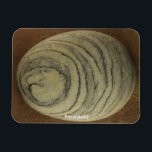 Imán Pareidolia<br><div class="desc">Pareidolia
Is the mind's ability to see an image within natural
and random objects.
H.B. Miller  2000  Talking Canyons,  New Mexico</div>