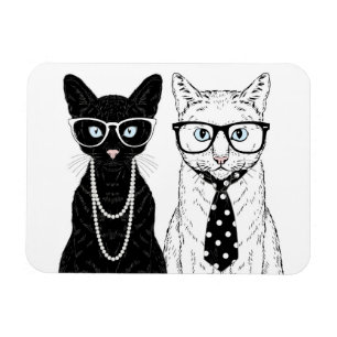 Imán Pareja De Gatos