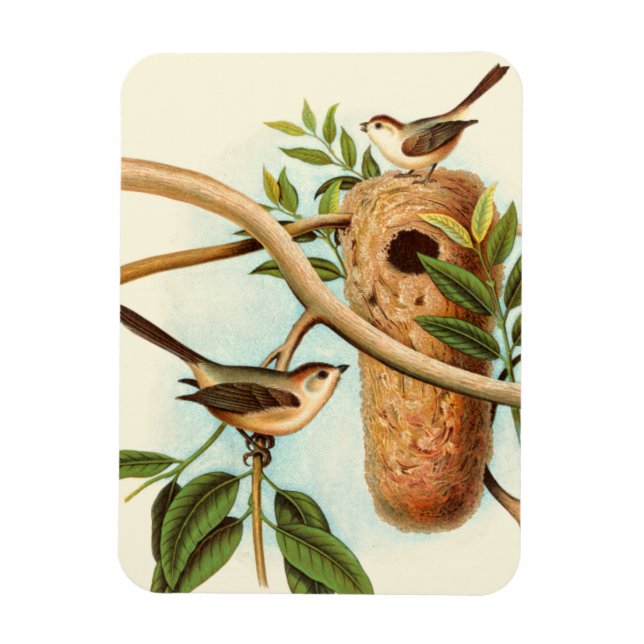 Imán Pareja de pájaro en nido posada en una rama (Vertical)