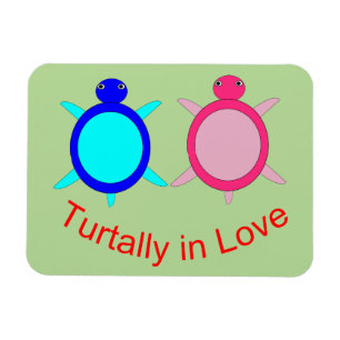 Imán Pareja De Tortuga Cuta