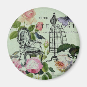Imán parís de mariposa de rosa francés vintage moderno