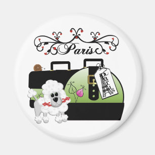 IMÁN PARÍS MAGNÉTICA