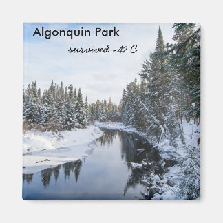 Imán Parque Algonquin
